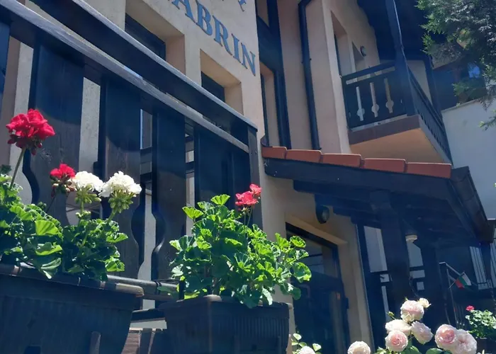 Pensjonat Skabrin Bansko