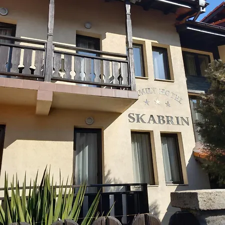 Skabrin 2*